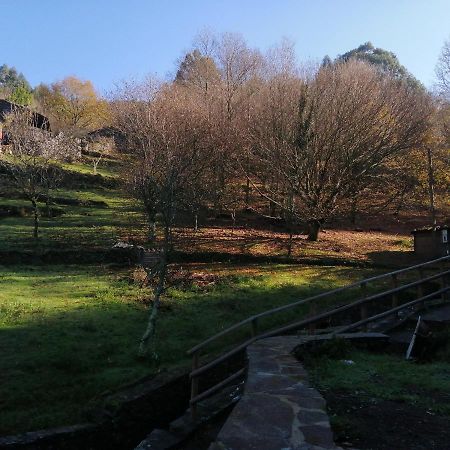 Apartament Casa De Baixo Lousã Zewnętrze zdjęcie